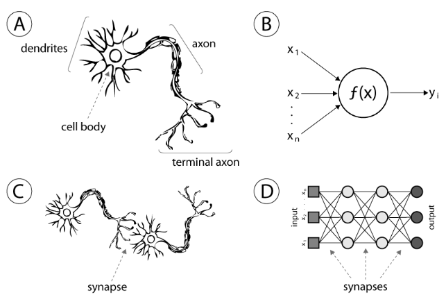 Fig 1